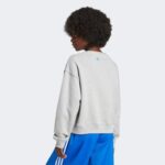 adidas Ksenia Tag Swt Kadın Gri Sweatshirt