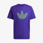 adidas Skeleton Tr Tee Erkek Mor T-Shirt