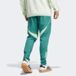 adidas Tiro25 Competition Presentation Erkek Yeşil Eşofman Altı