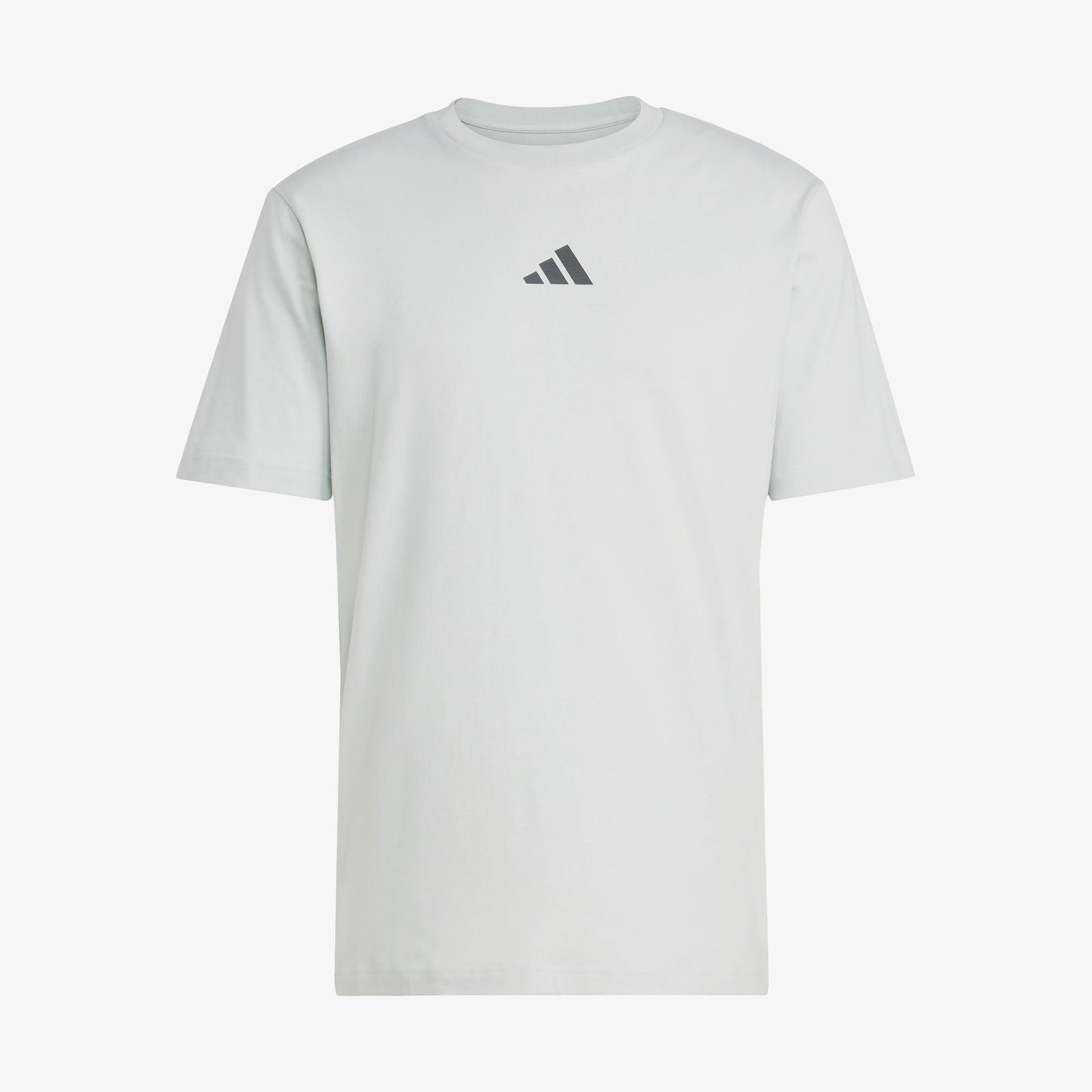 84Ca7508-C02F-4C66-8Ac4-2B73A6A07794_Size2000X2000_Cropcenter Adidas City Escape Logo Graphic Erkek Gri T-Shirt
