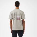 Calvin Klein Ombre Logo Erkek Gri T-Shirt