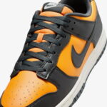 Nike Dunk Low Retro Erkek Sarı Spor Ayakkabı