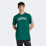 adidas Codes Collegiate Linear Graphic Erkek Yeşil T-Shirt