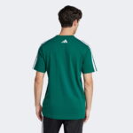 adidas Codes Collegiate Linear Graphic Erkek Yeşil T-Shirt