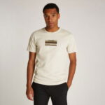 Calvin Klein Gradient Logo Erkek Gri T-Shirt