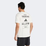 adidas Climacool Category Training Graphic Erkek Beyaz Antrenman T-Shirt