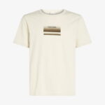 Calvin Klein Gradient Logo Erkek Gri T-Shirt