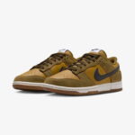 Nike Dunk Low Retro SE Erkek Yeşil Spor Ayakkabı