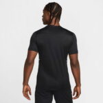 Nike Dri-Fit Academy Erkek Siyah T-Shirt